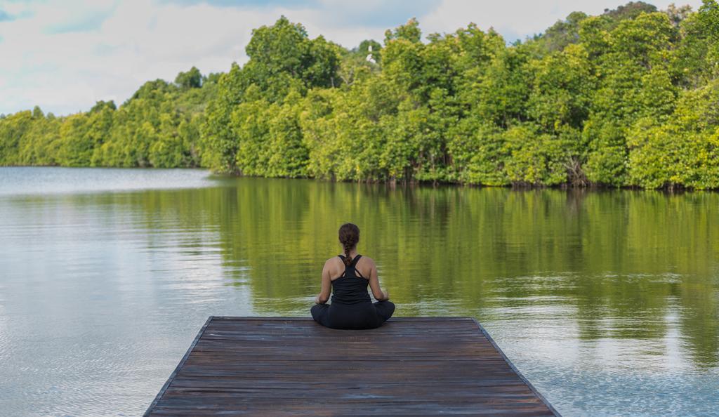 Roman Lake Ayurveda Boutique Resort - Level 1 Certified أهونغالا المظهر الخارجي الصورة