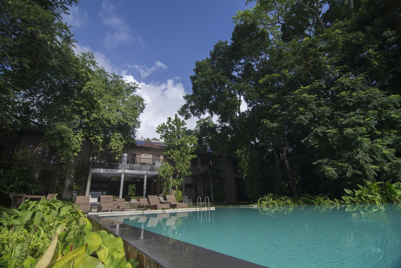 Roman Lake Ayurveda Boutique Resort - Level 1 Certified أهونغالا المظهر الخارجي الصورة